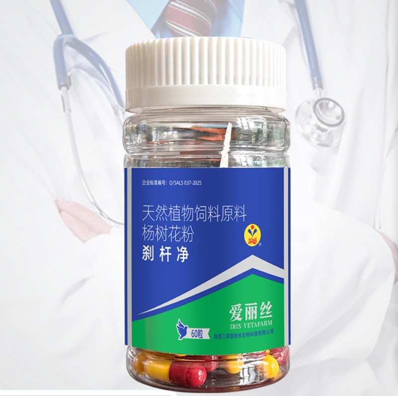 爱丽丝刹杆净胶囊60粒信赛鸽子沙门氏菌大肠杆菌杀星