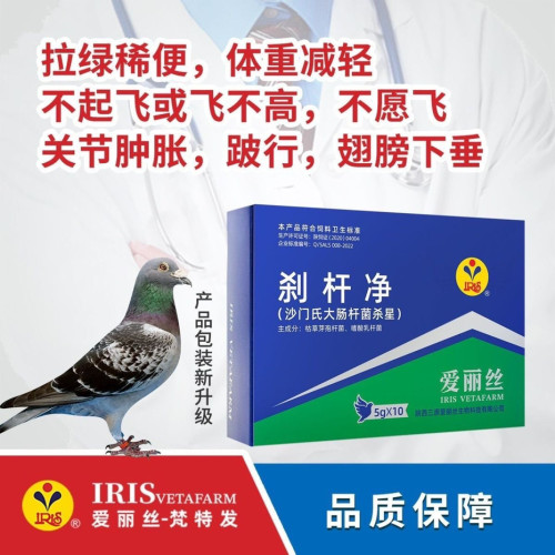 爱丽丝沙门氏大肠杆菌杀星5gX10袋肠道鸽子药二合一伤寒停刹杆净