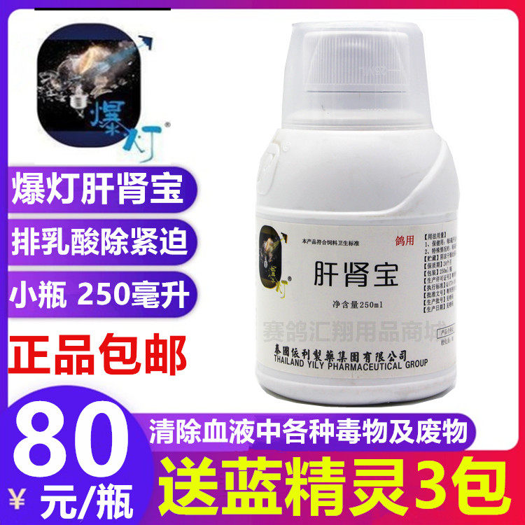爆灯鸽药肝肾宝250ml赛鸽信鸽子用品肝精营养液爆灯肝肾宝排乳酸