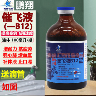 鹏翔【催飞液B12】100毫升鸽药鸽b12比赛提速抗疲劳止口渴高峰液