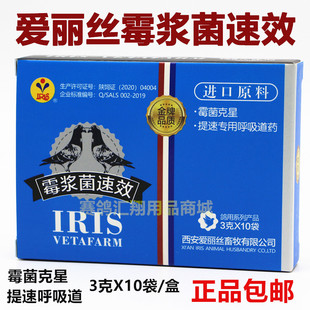 爱丽丝鸽药【霉浆菌速效】粉30克信赛鸽子大全霉菌克星提速呼吸道