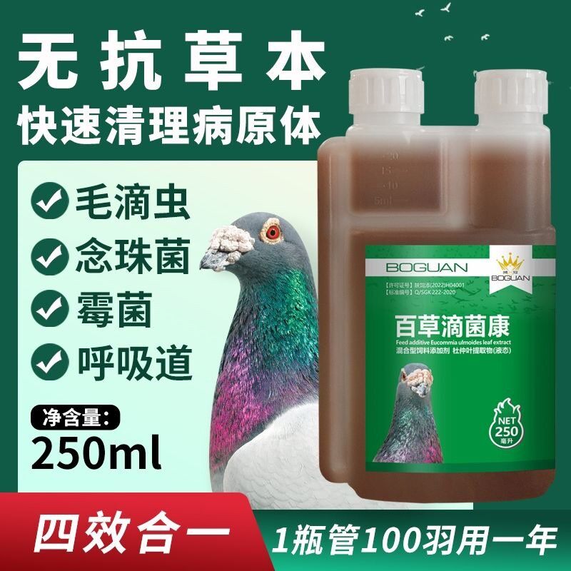 搏冠百草滴菌康250ml中药清理毛滴虫念珠菌霉菌呼吸道博冠克滴液