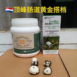 荷兰顶峰鸽药肠道黄金搭档活菌加保比液便调理预防鸽子药