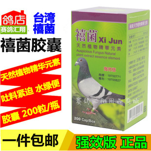 鸽子药台湾宏桥禧菌促消化活积料积水胀气瓶装禧菌胶囊200粒