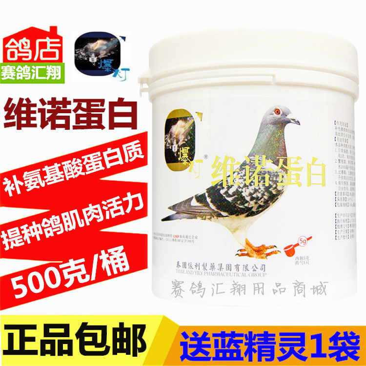 鸽药鸽子药信鸽药品赛鸽保健品爆灯500g氨基酸蛋白质限时打折