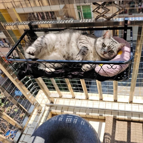 猫吊床猫咪床边挂床阳台悬挂猫窝挂架窗户窗台晒太阳栏杆护栏挂窝