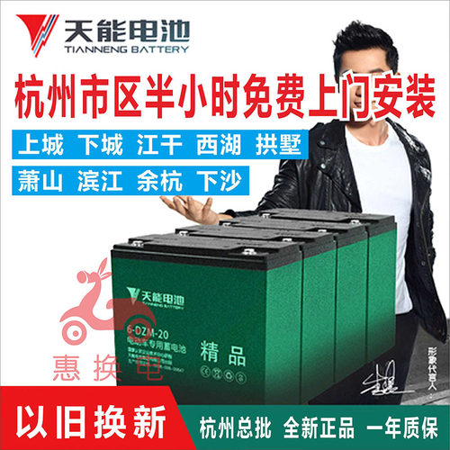 原装电动车电池全新天能