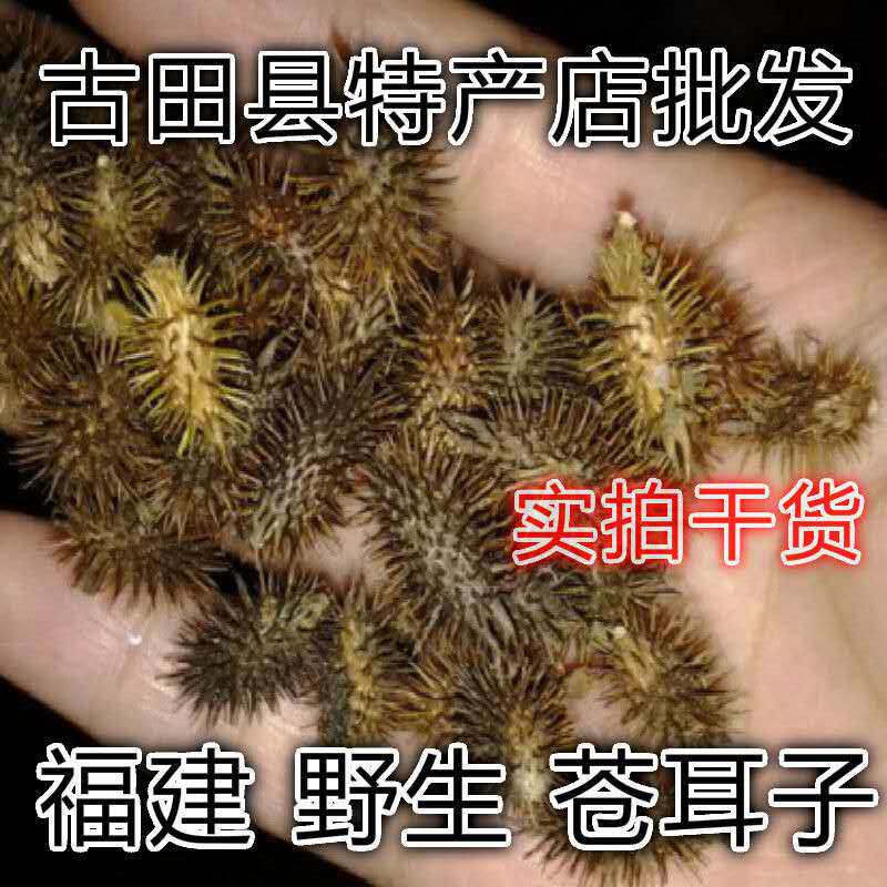 福建野生青草羊咪咪 苍耳子 虱马头 老苍子 道人头干货 250克包邮