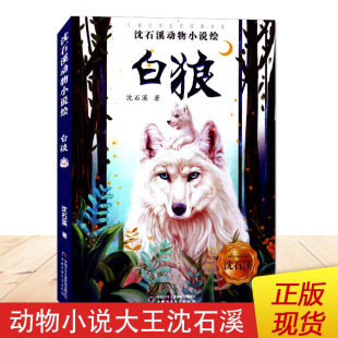 沈石溪著 总社 沈石溪动物小说绘 儿童文学名家经典 白狼 中国少年儿童新闻出版 书系 小学生课外阅读书籍