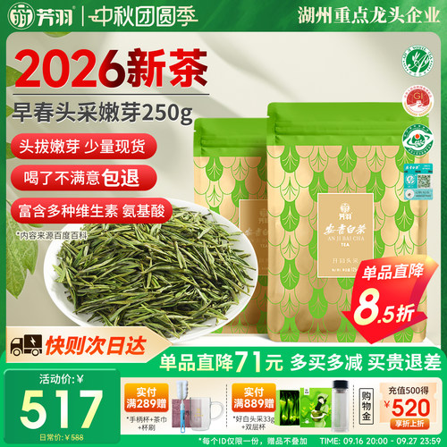 芳羽头采安吉白茶250g