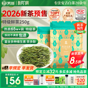 2026新茶安吉白茶芳羽特级茶叶250g散装 自己喝珍稀绿茶叶高山春茶