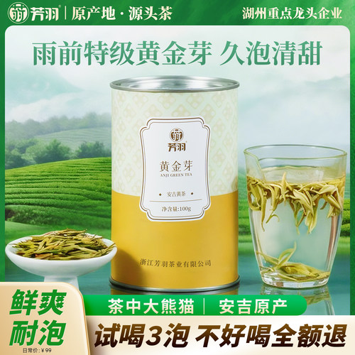 安吉原产黄叶茶树鲜叶