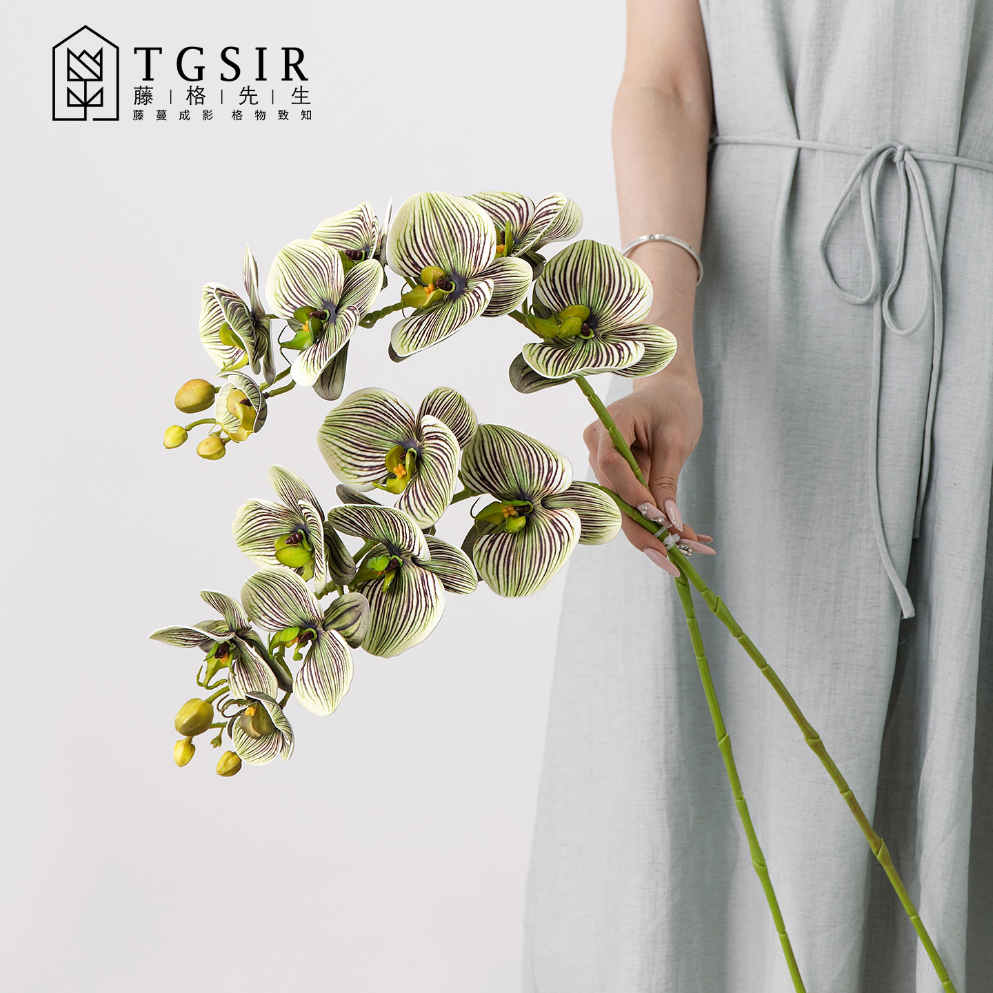 高级感逼真纹理蝴蝶兰仿真花