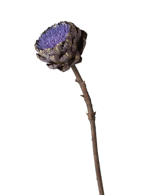 复古紫色菜蓟仿真花束高级感假花