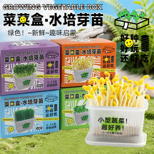 俏雅盆栽菜菜盒学校科教产品