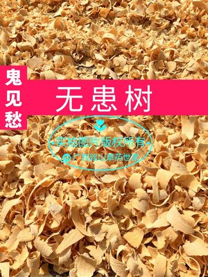 无患子树干品500克包邮鬼见悉树枝无患根洗手果苦槵树木槵树