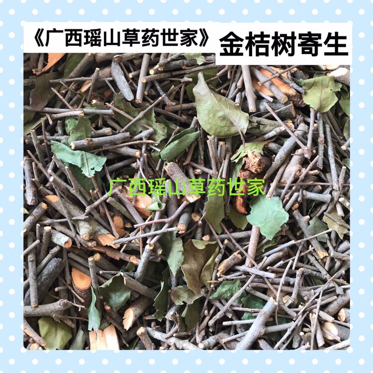 金桔树寄生 金橘树寄生滋补茶干