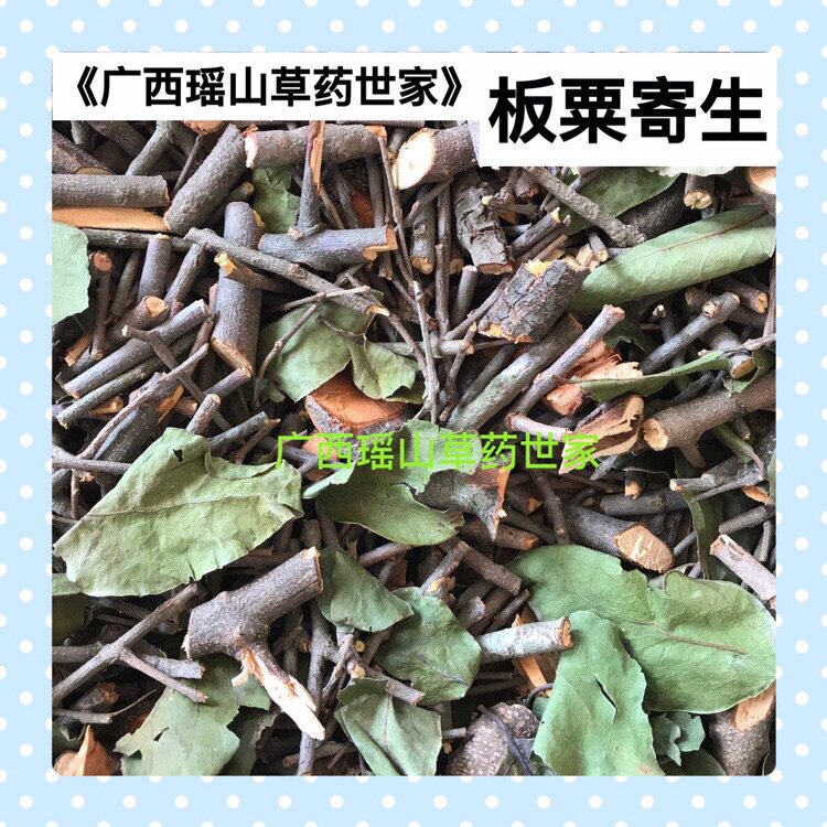 板粟树寄生干品500g包邮买五斤送半斤