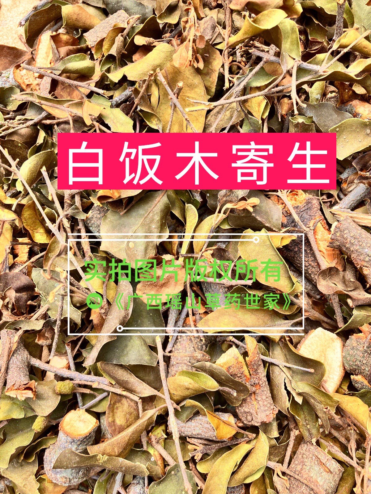 白饭木寄生白凡木寄生干品500克