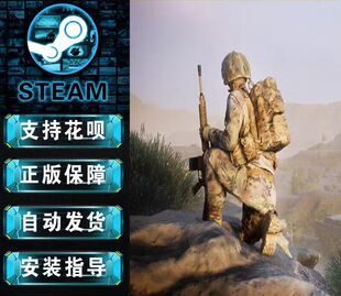 行动小组 战术小队 Squad 中文 国区激活码 PC正版 江湖豪华STEAM