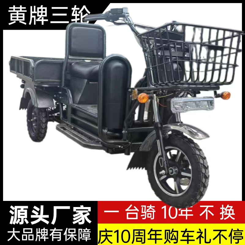 农用新款载重王电动三轮车载货快餐拉客快递爬坡王家用送货车