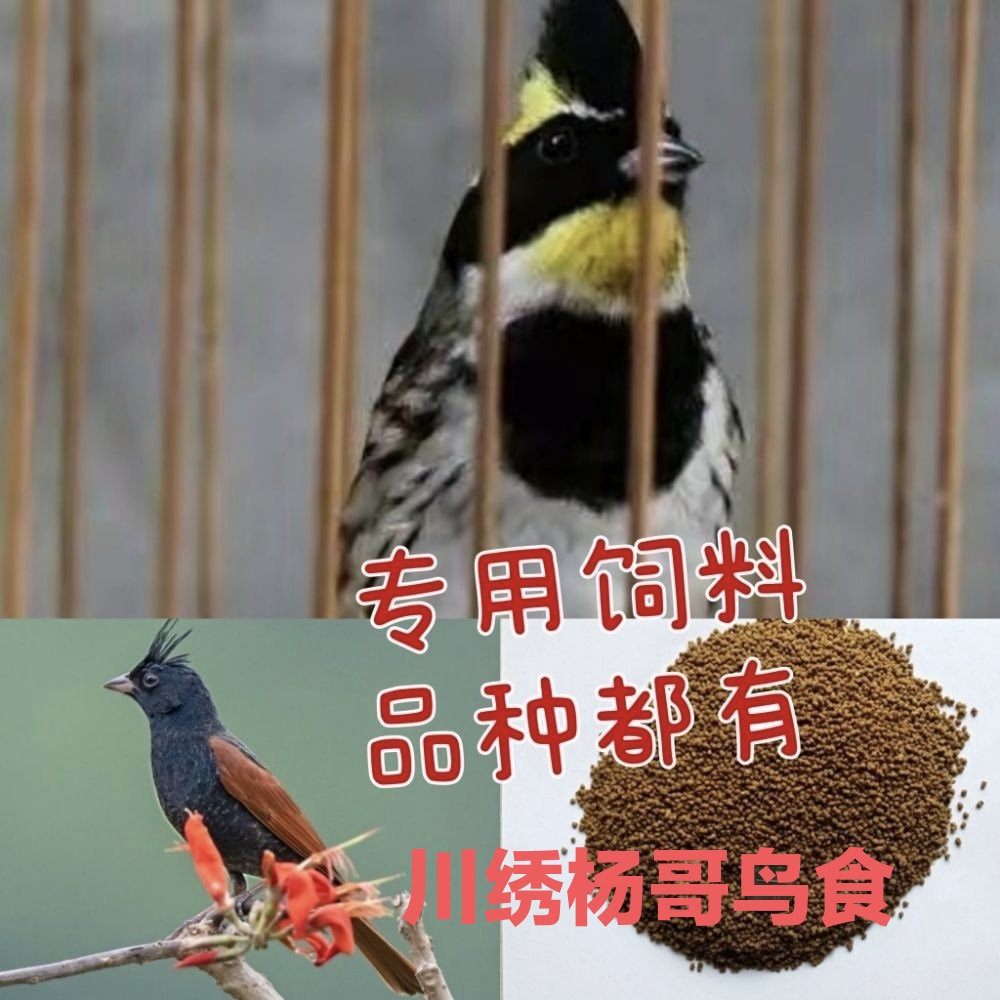 鹀科鸟食饲料鸟粮500克增色壮膘 适用黄喉鹀 春暖 凤头鹀 虎头凤