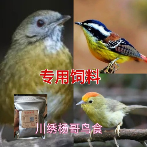 鹛科鸟食饲料鸟粮爱叫白腹幽鹛红头穗鹛火尾希鹛500克川绣杨哥