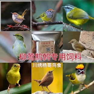 柳莺山莺鹟莺树莺鹪鹩鸟苇莺鸟食饲料鸟粮壮膘爱叫500克川绣杨哥