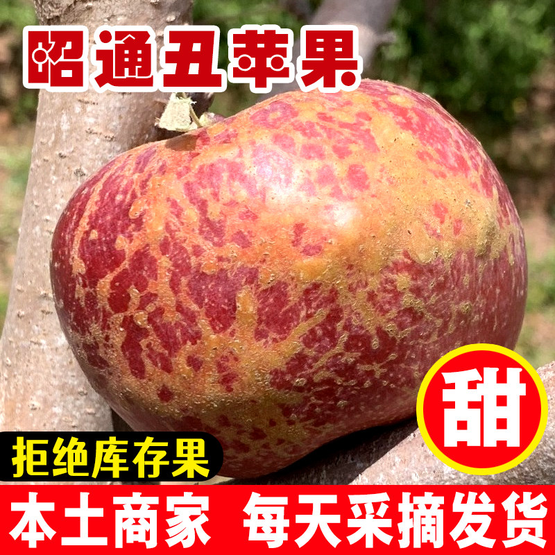 送礼就送精品礼盒高山苹果