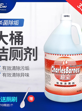 超宝DFF018家用商用洁厕剂马桶浴盆清洗液洁厕灵厕所清洁剂包邮