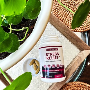 保税仓发美国Cell-IQ汉拿博士舒压锭综合维生素B族90粒舒缓情绪