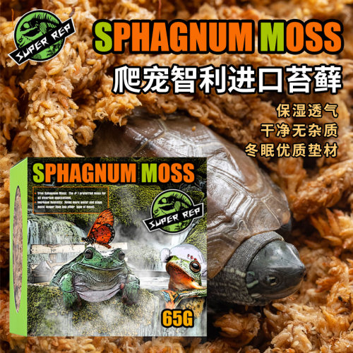 SuperRep智利苔藓保湿性好