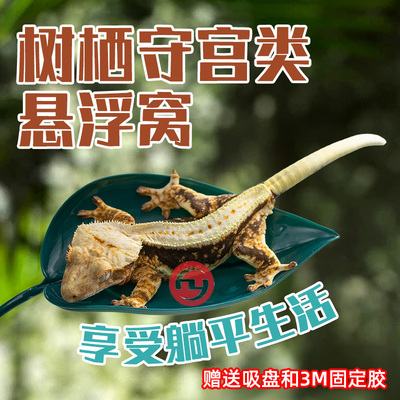 爬宠攀爬吸盘叶子树栖仿真植物