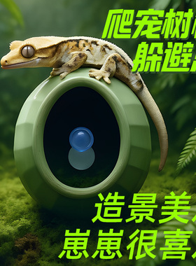 爬宠蛋仔吸盘躲避窝攀爬加湿窝造景爬虫睫角豹纹守宫姥爷树蛙