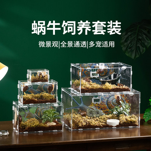 宠物白玉蜗牛专用饲养盒套装造景别墅亚克力爬箱学生养殖观赏盒子