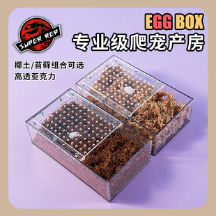 SuperRep爬虫亚克力产蛋盒豹纹守宫睫角肥尾守宫玩具蛇下蛋盒产盒