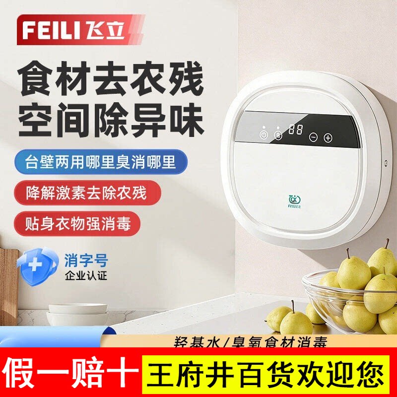 飞立果蔬清洗机去农残蔬菜臭氧消毒机活氧机家用小型FLC08A