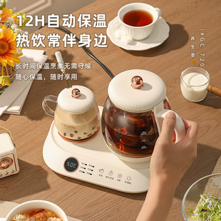 CEOOL养生壶办公室小型智能煮茶器家用烧水壶多功能电热水壶