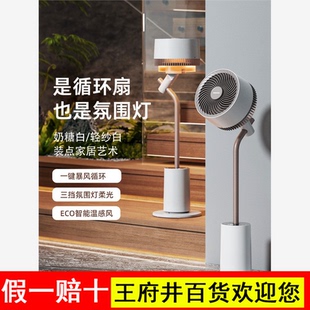 大宇空气循环扇家用轻音语音智能摇头落地氛围灯电风扇2025新款