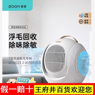 edon爱登空气循环扇猫毛空气净化器家用落地扇除尘摇头涡轮电风扇