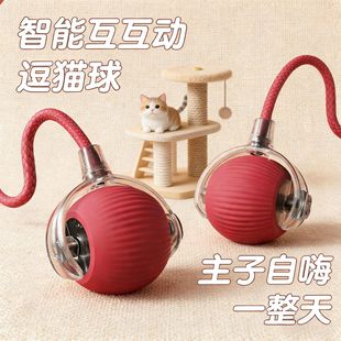 猫咪玩具智能解闷自动滚滚球逗猫棒解闷猫咪发声躲避球宠物用品