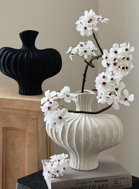 侘寂风陶瓷花瓶插花摆件高级感小众家居装饰法式轻奢花瓶陶瓷花器