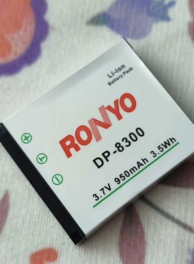 DP8300电池适用拍得丽三洋VPC-E1000欧达HDV-z5(D014)/vivitar威达 海尔ma5b/DC-v120/好易通besta DC-1520