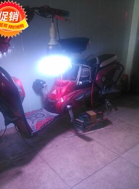 LED灯泡E27螺口30W直销电动车60V调色水果灯球泡特殊照明生鲜灯