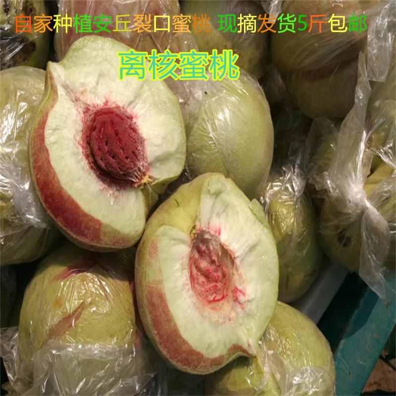 安丘蜜桃现摘发货新品上架