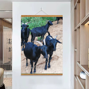 黑羊图挂画草原羊画三阳开泰图装饰挂画玄关客厅宿舍走廊床头墙面