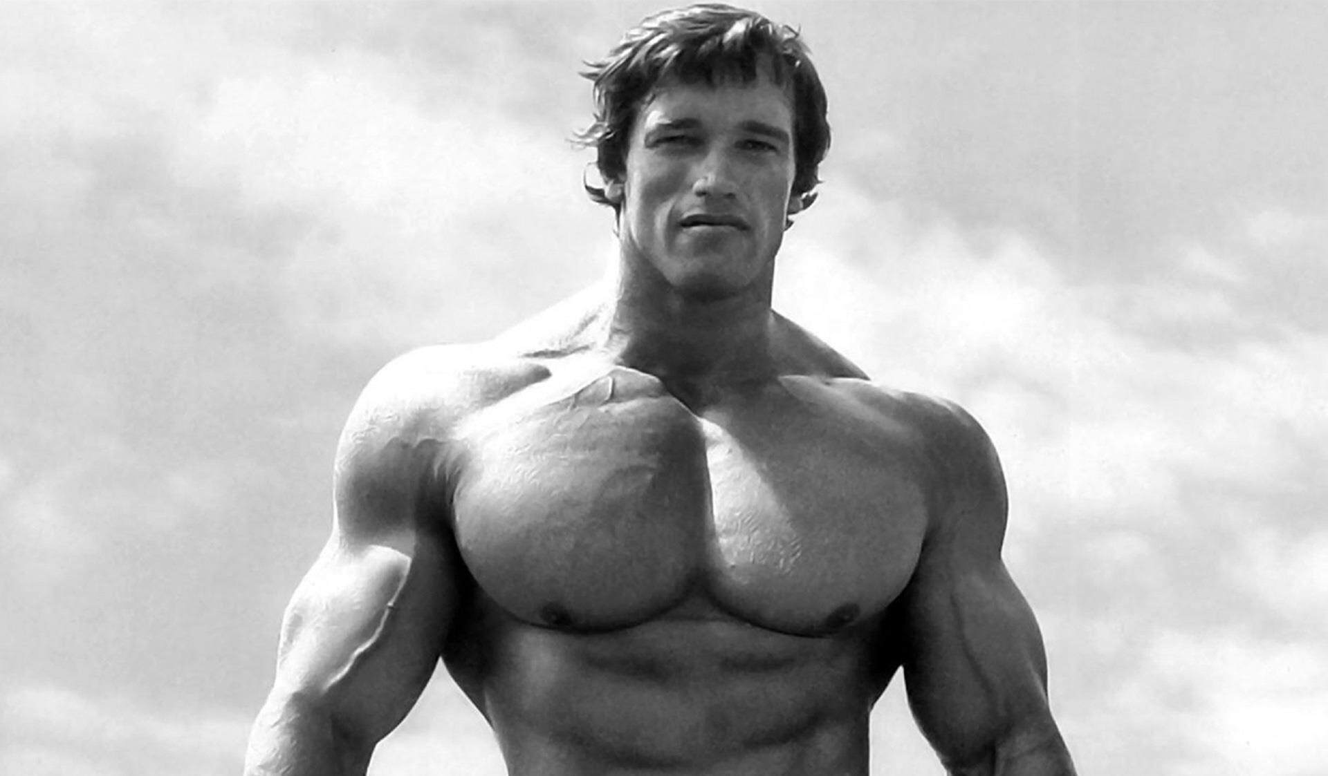 史泰龙电影洛奇第一滴血兰博敢死队拳击肌肉男明星健身海报装饰23