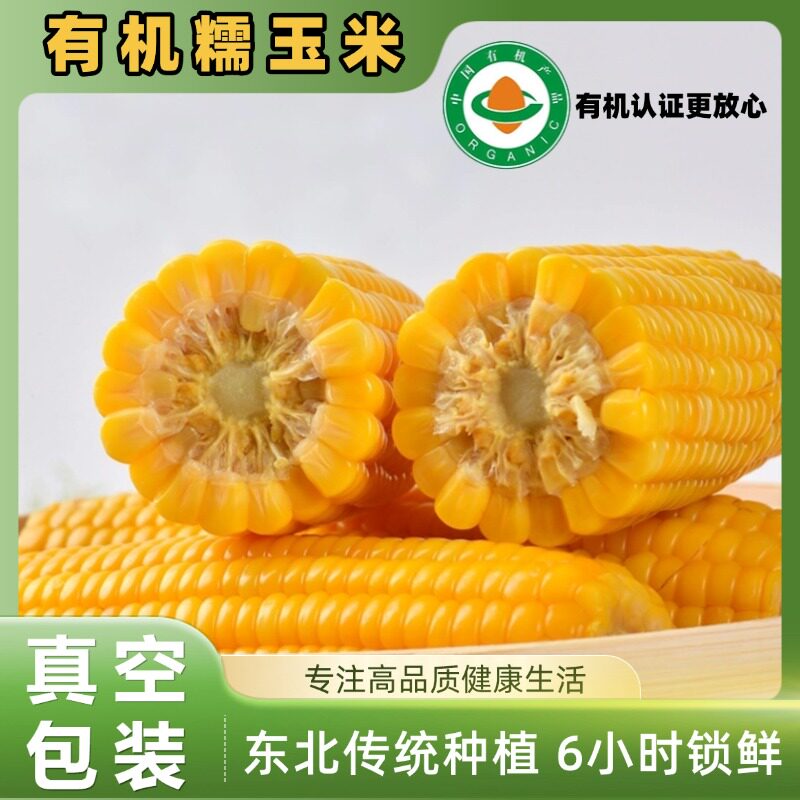 非转基因东北五常市有机玉米