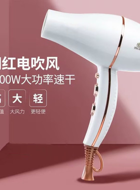 德昌T3负离子护发静音电吹风