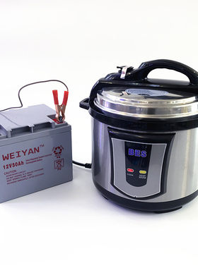 BES博爱思直流12V24V车载电压力锅家车两用2.8L5L容量户外自驾游